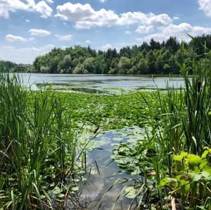 Meet your Posher, Sherry